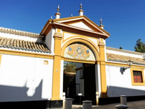 Palacio de Dueñas
